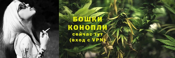 ECSTASY Армянск