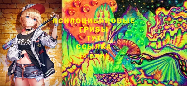 прущие крисы Арсеньев