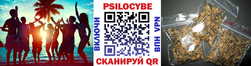MEGA зеркало  Фролово  Псилоцибиновые грибы Cubensis 